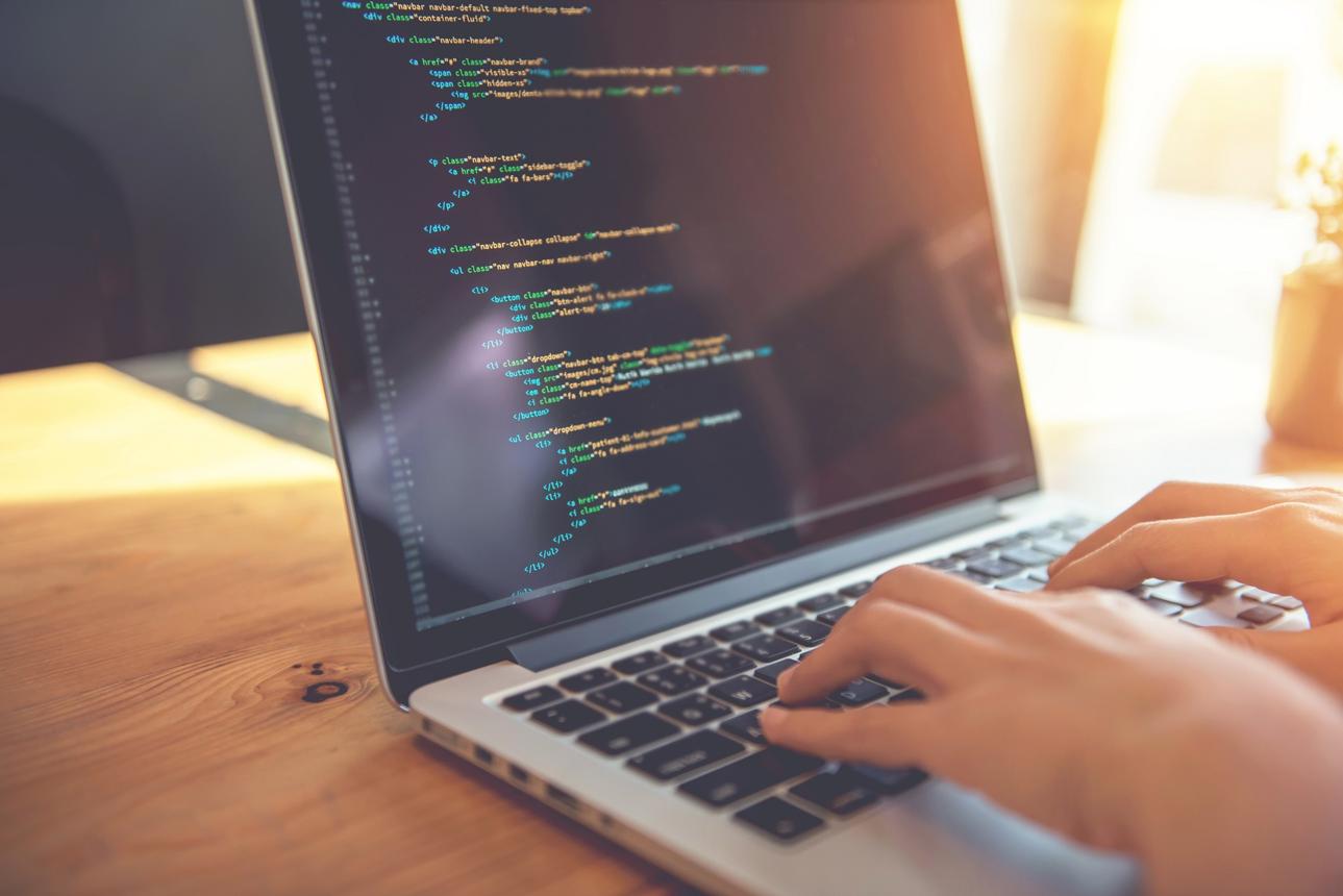 Formation : Développement Web (Débutant à Avancé)